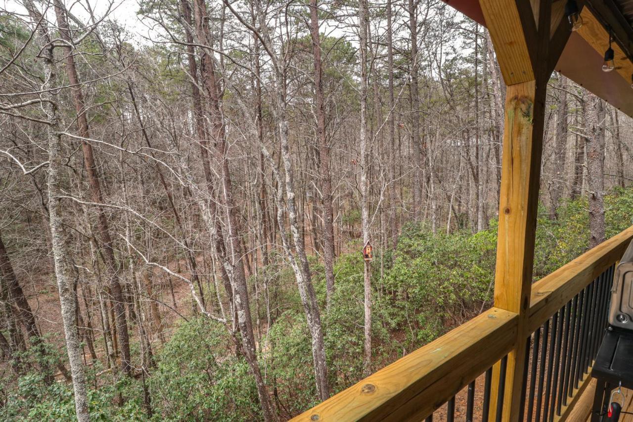 Cozy Bear Cabin #1 Sautee Nacoochee 外观 照片